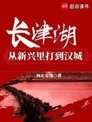 长津湖:从新兴里打到汉城 长津湖:从新兴里打到汉城